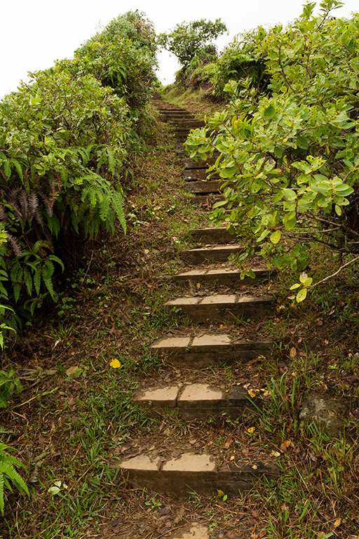 Maui - 034.jpg - Waihee Ridge Trail